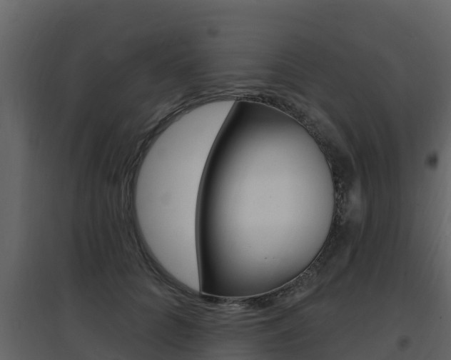 X0000097850704200803140857
