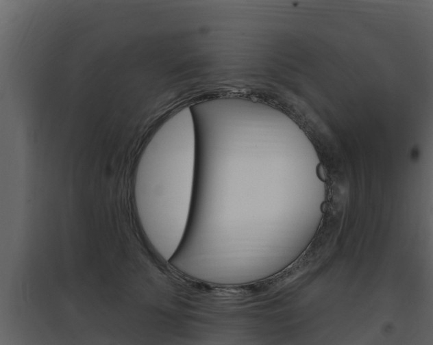 X0000097850707200803140857