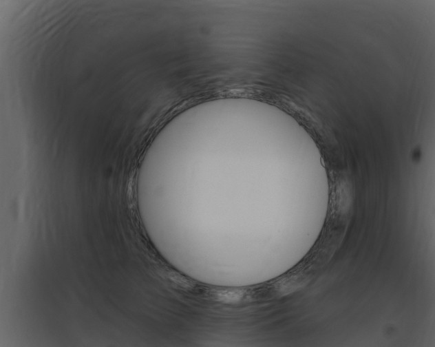 X0000097850709200803140857
