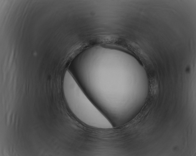 X0000097850716200803140857