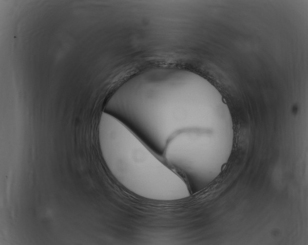 X0000097850719200803140857