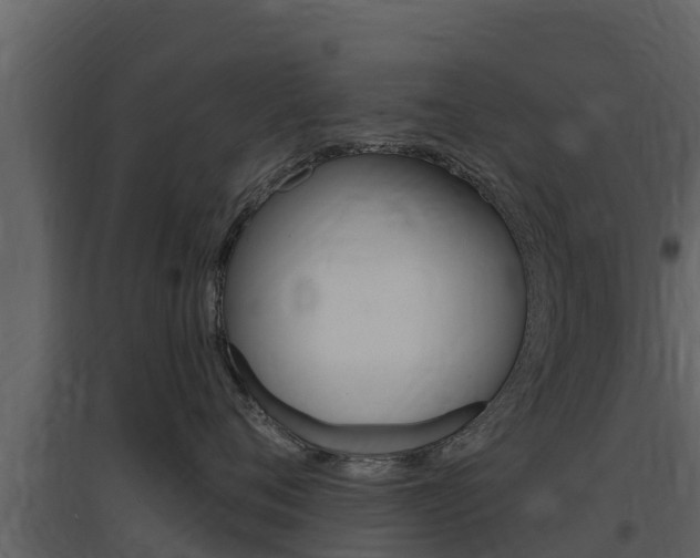 X0000097850720200803140857