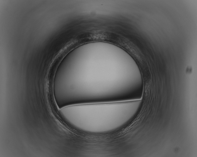 X0000097850722200803140856