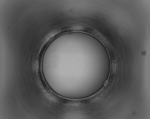 X0000097850726200803140856