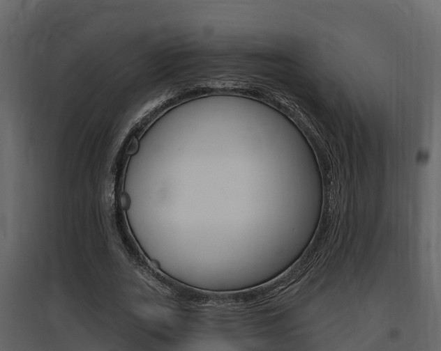 X0000097850727200803140856