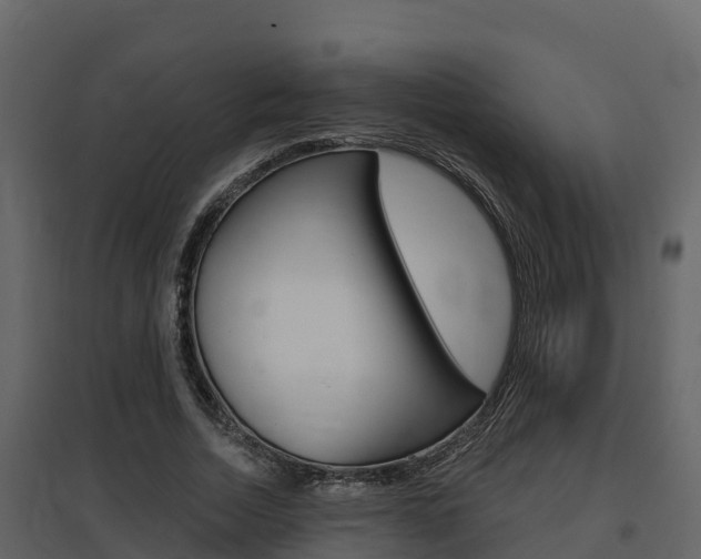 X0000097850730200803140856