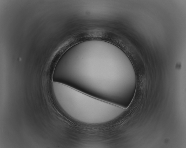 X0000097850731200803140856