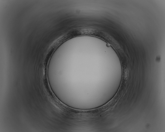 X0000097850733200803140856