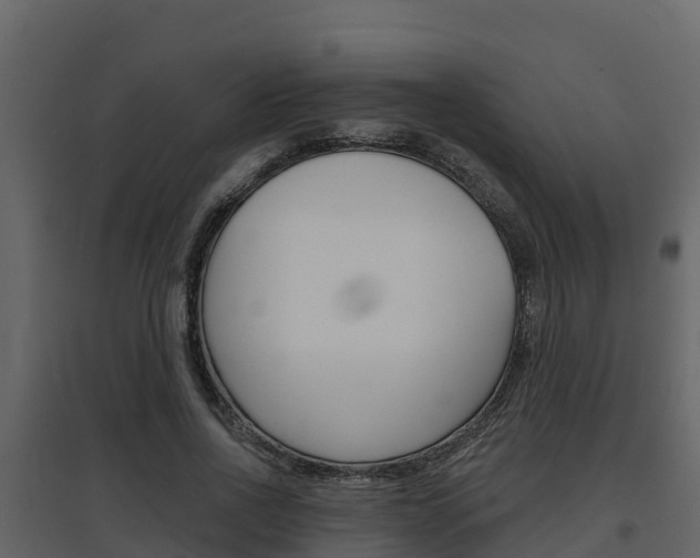 X0000097850734200803140856