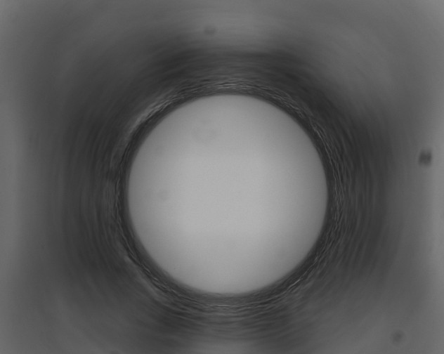 X0000097850735200803140856