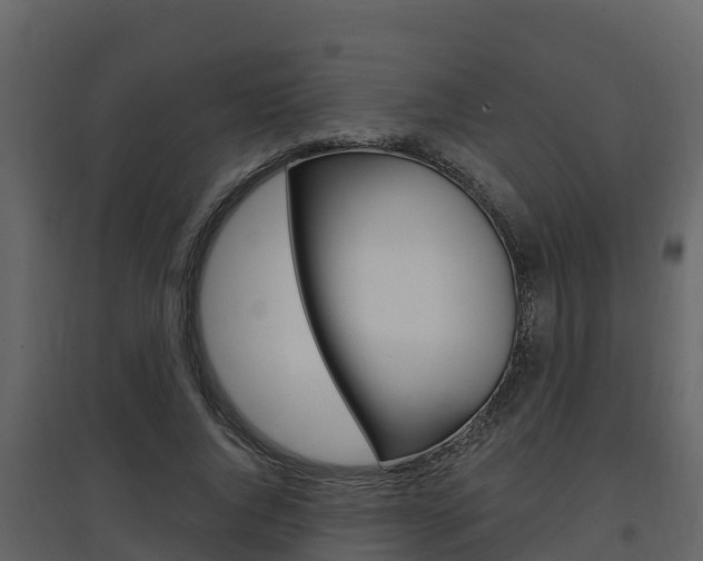 X0000097850736200803140856