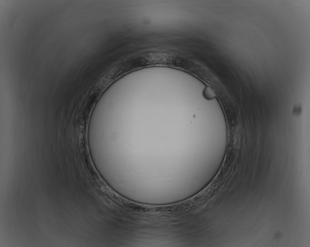 X0000097850737200803140856