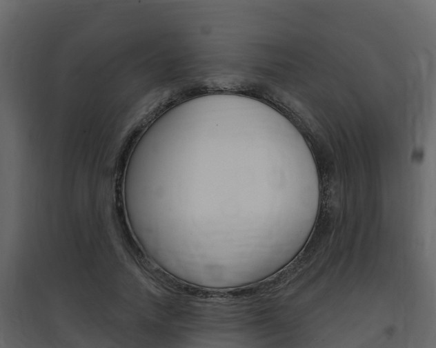 X0000097850738200803140856
