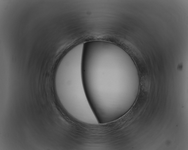 X0000097850740200803140856