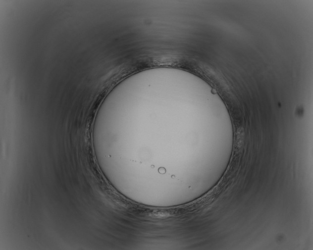X0000097850741200803140856