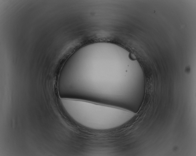 X0000097850742200803140856
