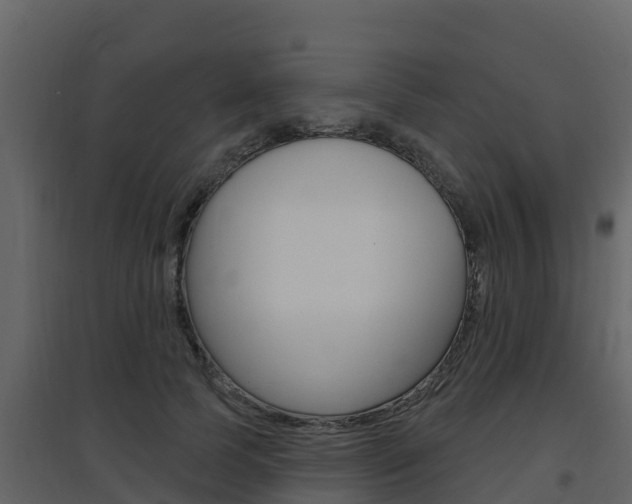 X0000097850745200803140856