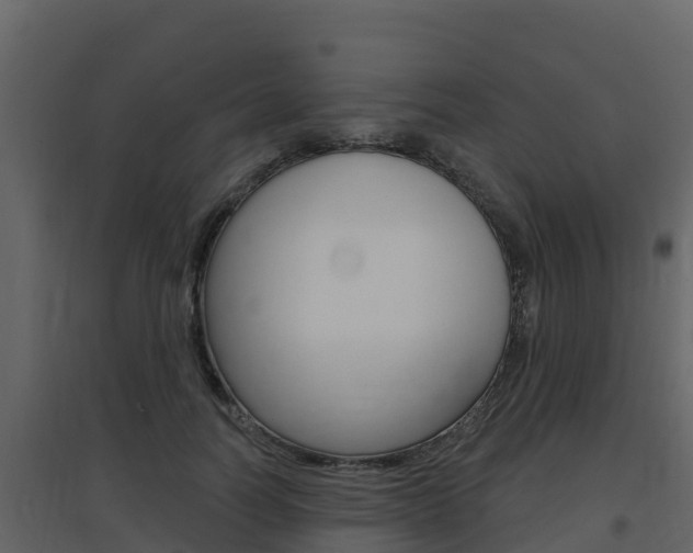 X0000097850746200803140856