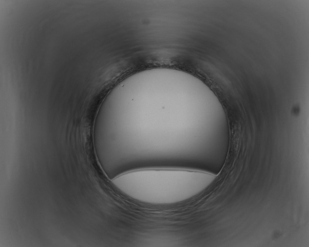 X0000097850747200803140856