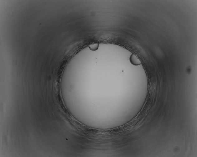 X0000097850749200803140856