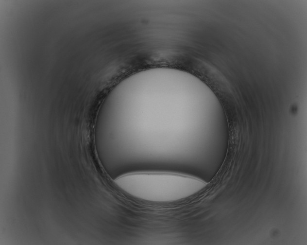 X0000097850751200803140856