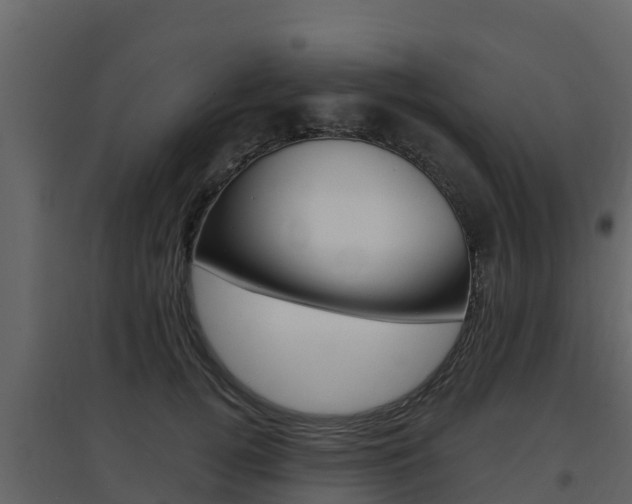 X0000097850752200803140856
