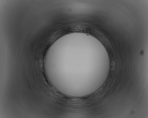 X0000097850753200803140857