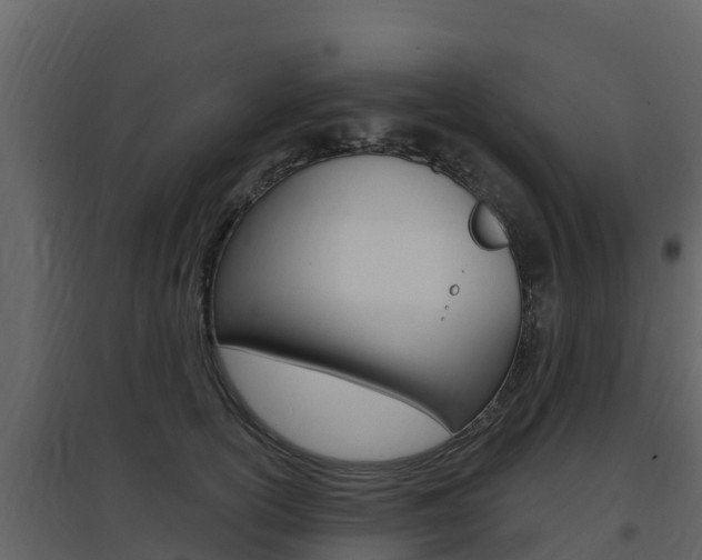 X0000097850754200803140857