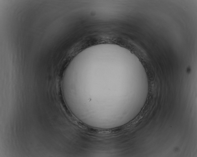 X0000097850757200803140857