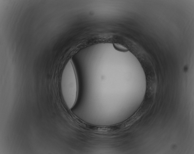 X0000097850758200803140857