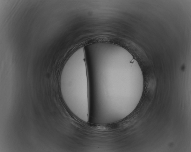X0000097850759200803140857
