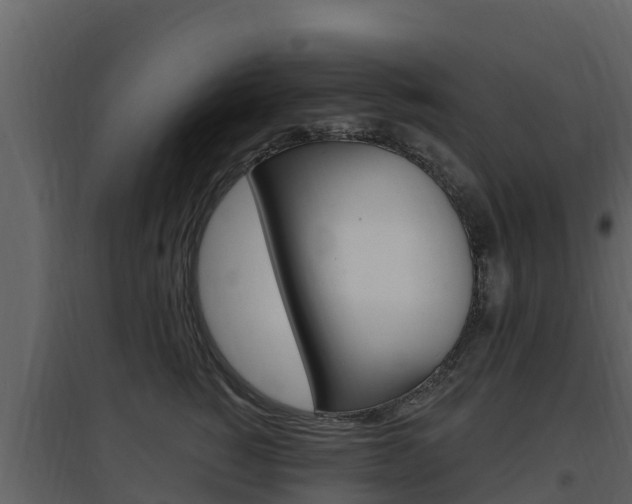 X0000097850760200803140857