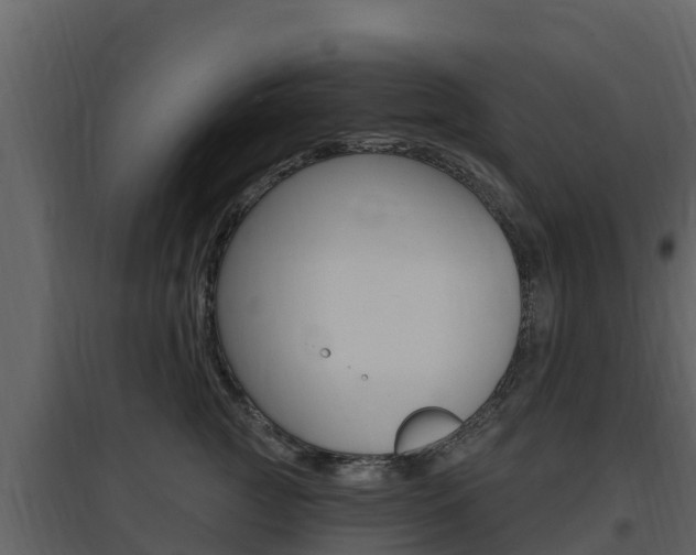 X0000097850761200803140857