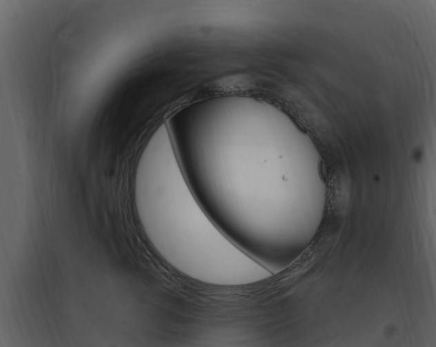 X0000097850762200803140857