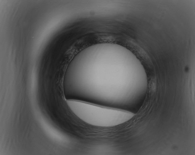 X0000097850764200803140857