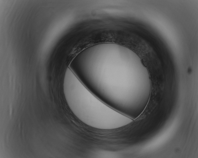 X0000097850766200803140857