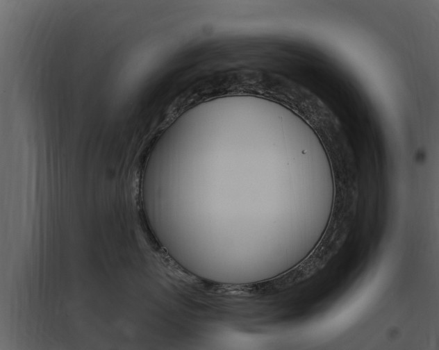 X0000097850767200803140857