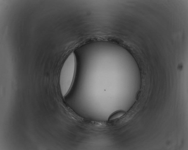 X0000097850768200803140857