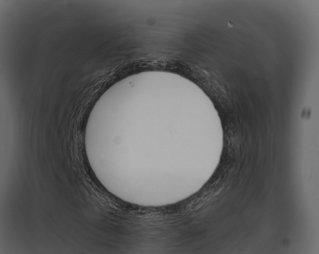 X0000097850769200803140856