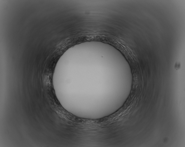 X0000097850770200803140856