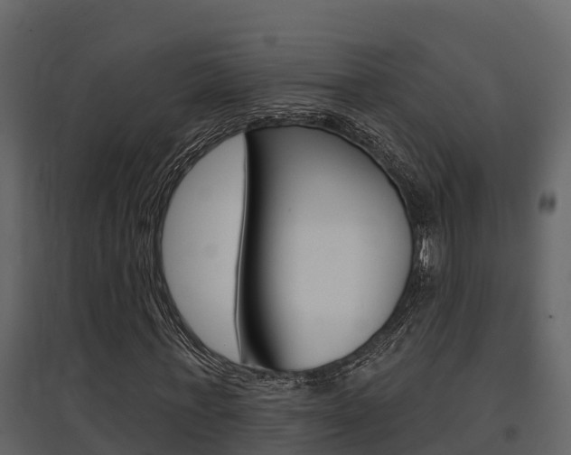 X0000097850771200803140856