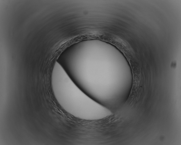 X0000097850773200803140856