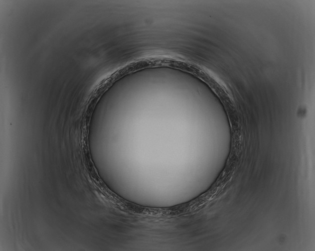 X0000097850775200803140856