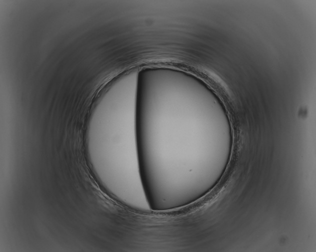 X0000097850777200803140856