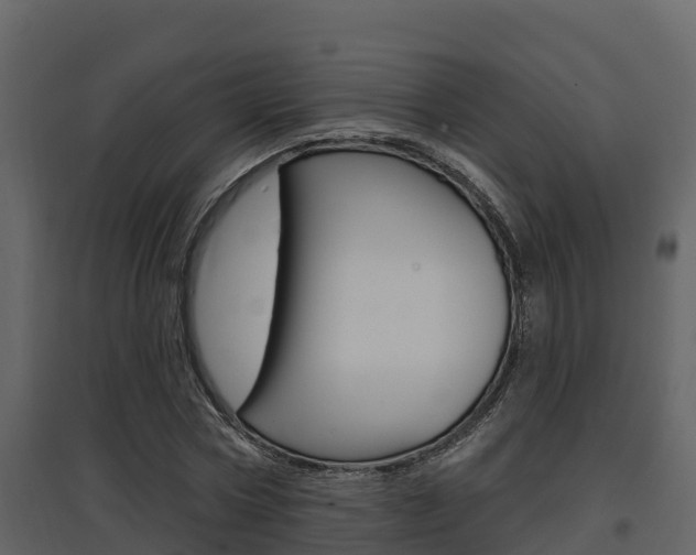 X0000097850778200803140856
