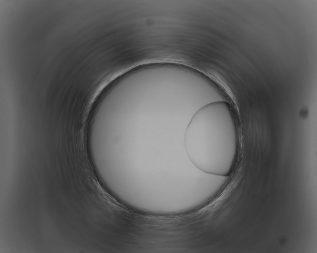 X0000097850781200803140856
