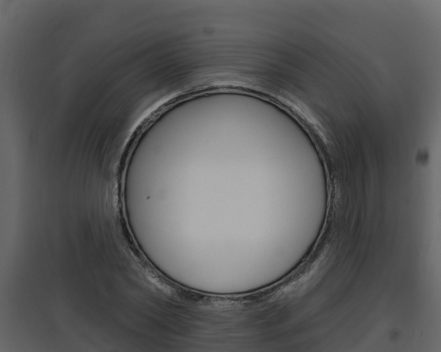X0000097850782200803140856