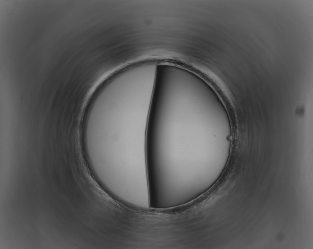 X0000097850783200803140856
