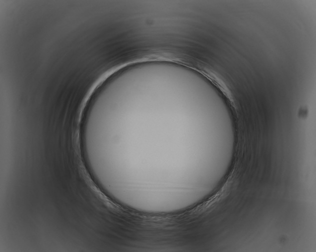 X0000097850784200803140856
