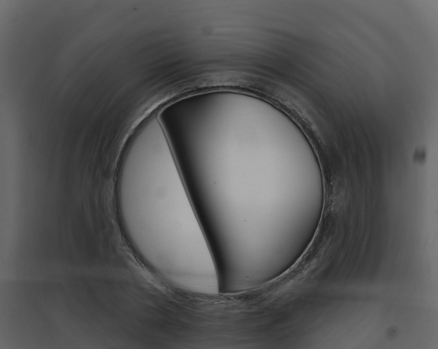 X0000097850786200803140856